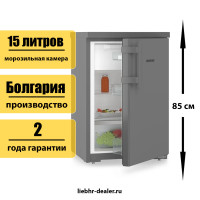 Однокамерный холодильник Liebherr Rdgd 1401 Pure