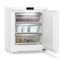 Малогабаритный морозильник (морозильная камера) Liebherr Fe 1003 Pure