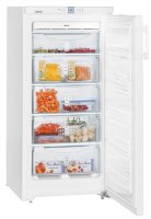 Морозильник (морозильная камера) Liebherr GNP 1956 Premium NoFrost