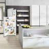 Двухкамерный холодильник Liebherr CTNesf 3663 Premium NoFrost